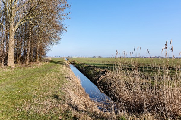 Foto - Te koop: Grietmansstraat 51, 9076 BD Sint Annaparochie